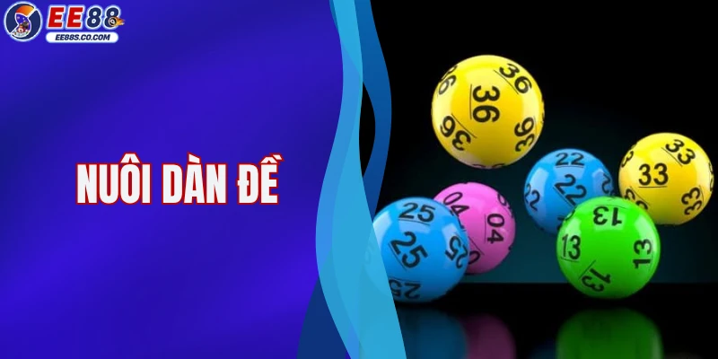 Nuôi Dàn Đề - Phương Pháp Cá Cược Trực Tuyến Hiệu Quả 